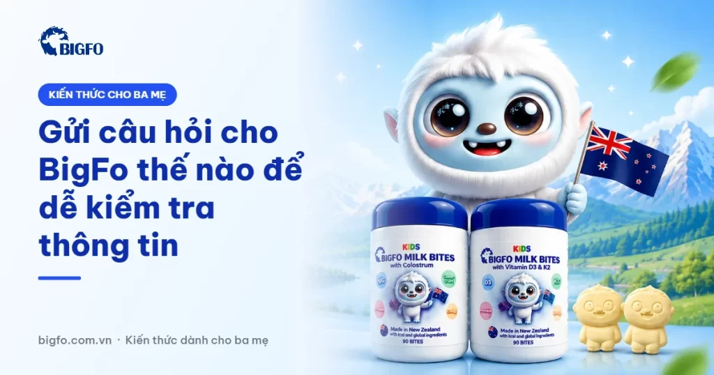 Gửi câu hỏi cho BigFo thế nào để dễ kiểm tra thông tin