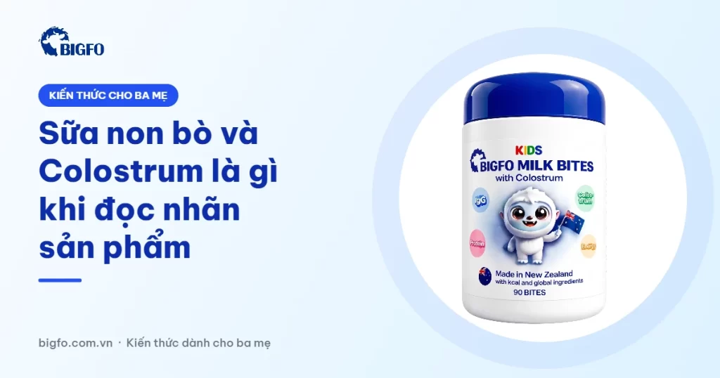 Sữa non bò và Colostrum là gì khi đọc nhãn sản phẩm