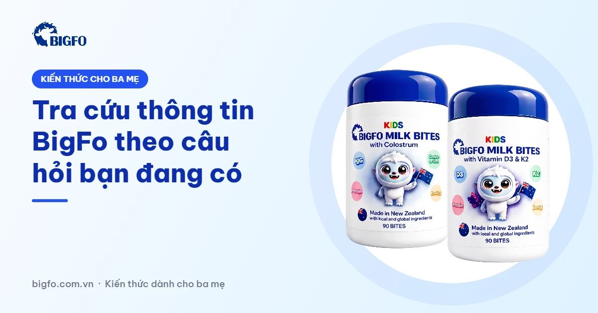 Tra cứu thông tin BigFo theo câu hỏi bạn đang có